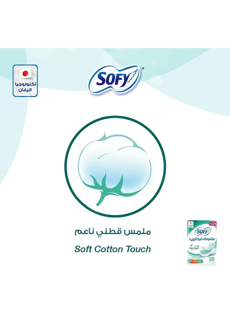 Sofy Anti-Bacterial Slim Large Cotthon Pads With Wings 28 Pads - Image 2